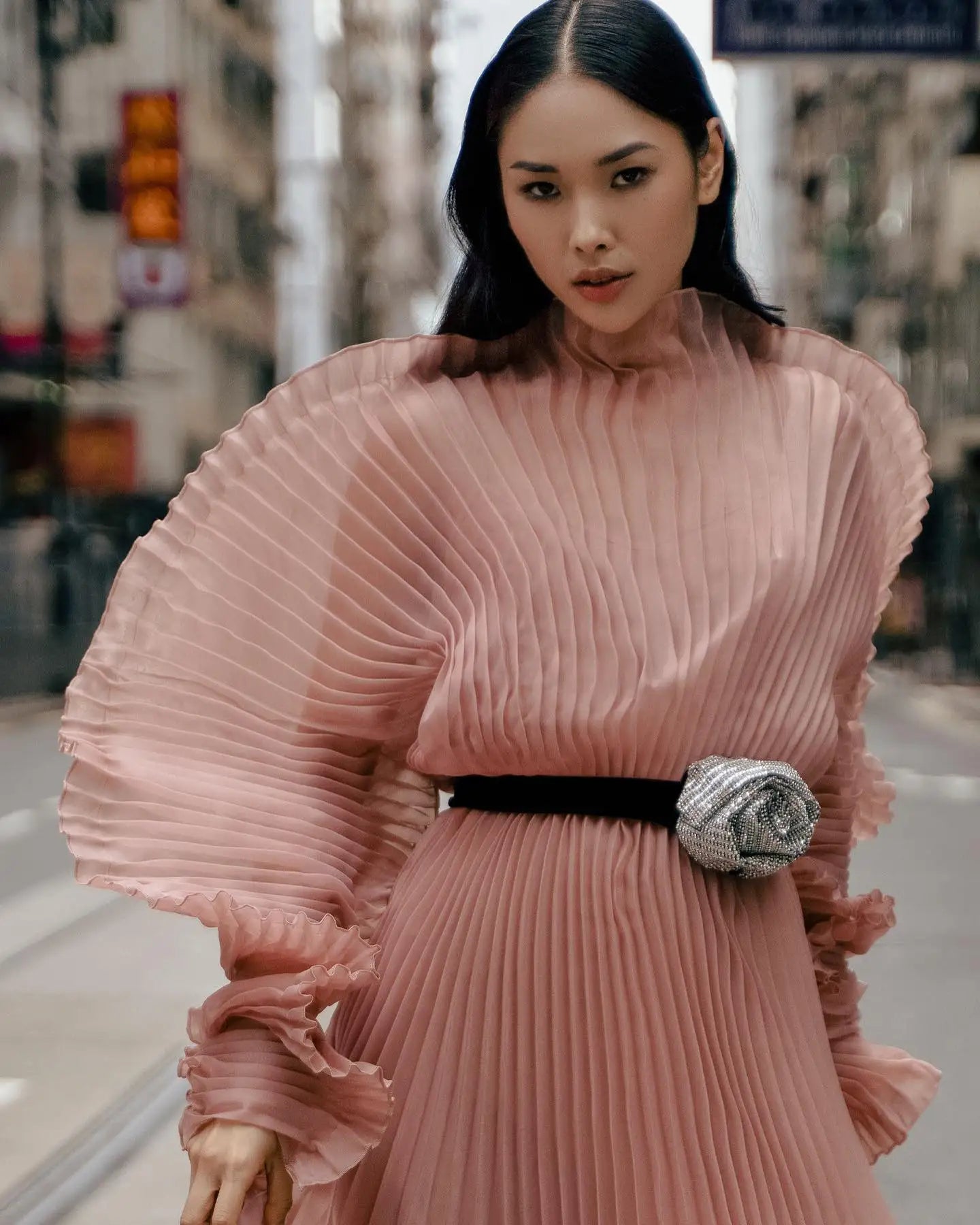 Chiffon Pleated Dress