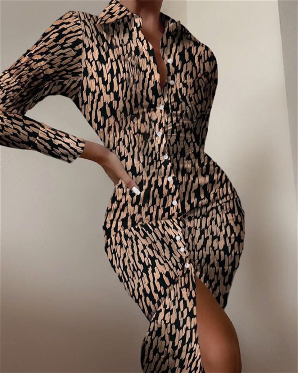 Print Shirt Dress