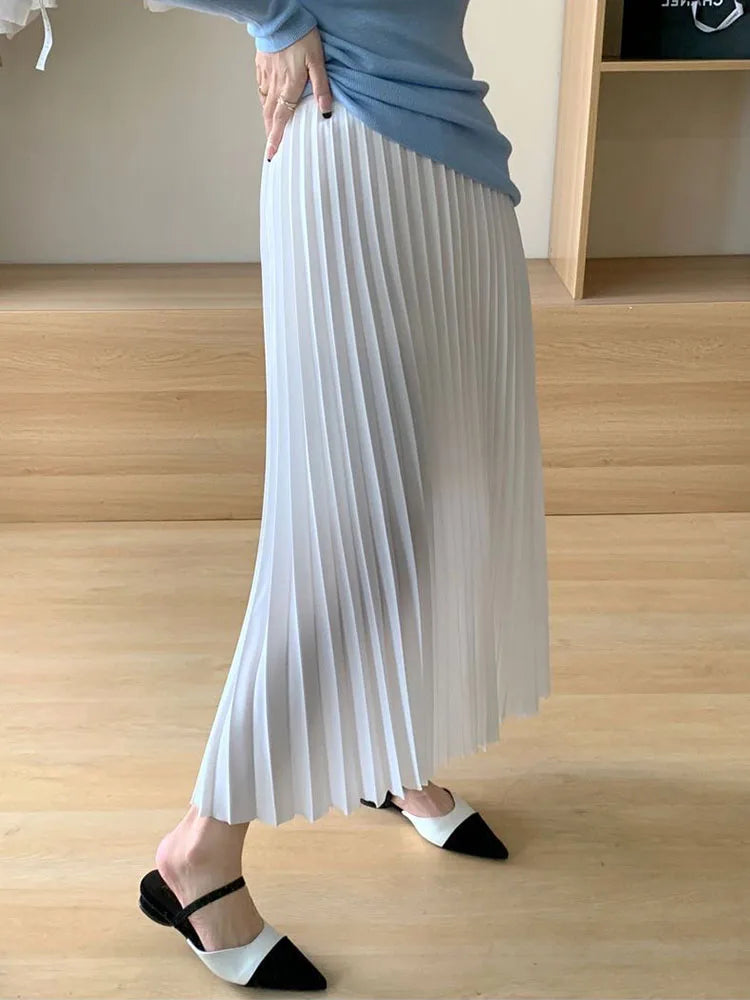 Elegant Women's Pleated Skirt