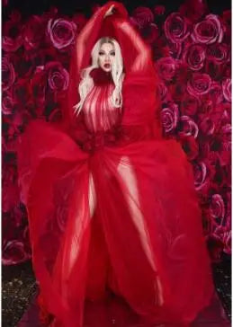 Red Rose See Through Dress